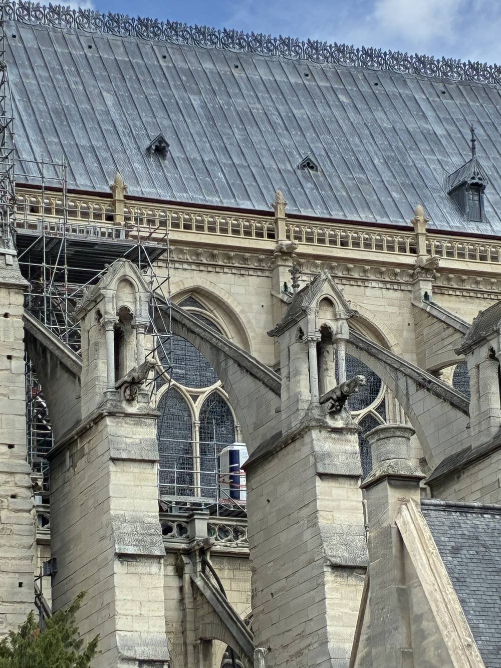 Les arcs-boutants du chevet de Notre-Dame